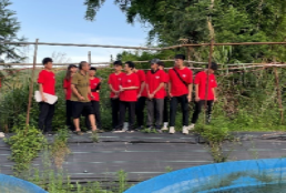 扎金花游戏