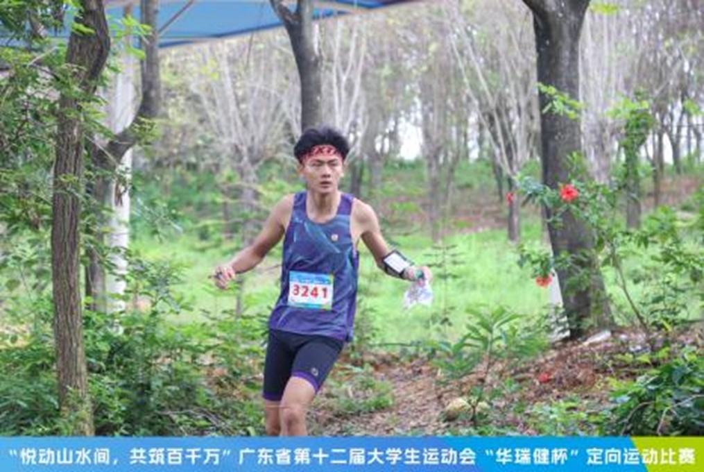 扎金花游戏